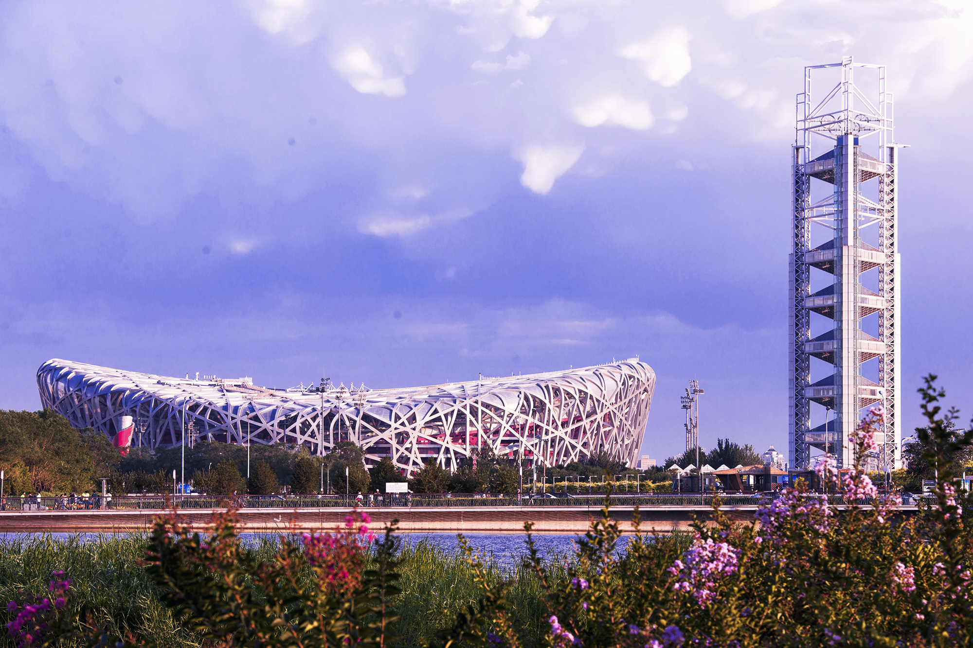 1618188695186412.jpg 鸟巢1-5.jpg